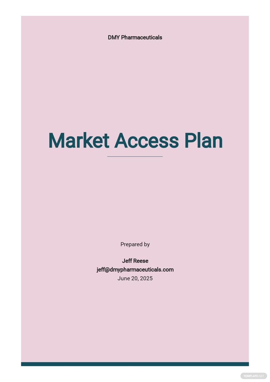 Market Access Plan Template
