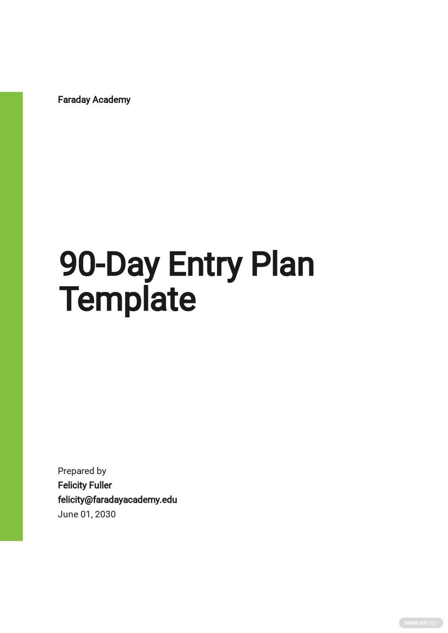 90 Day Entry Plan Template Google Docs Word Apple Pages PDF 