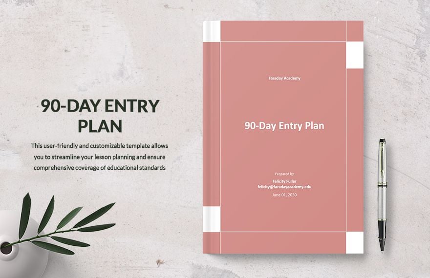 90-Day Entry Plan Template
