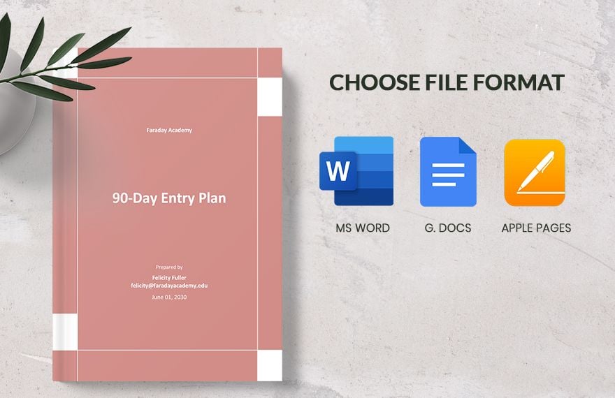 90-Day Entry Plan Template