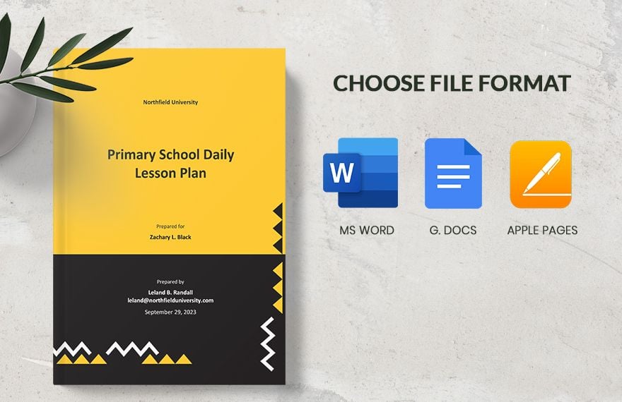 Primary School Daily Lesson Plan Template