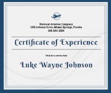 experience certificate format experience certificate sales manager