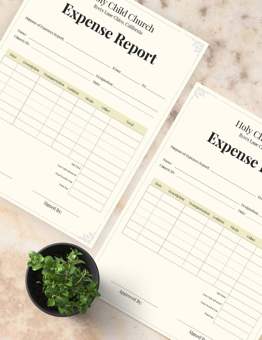 Church Expense Report Template