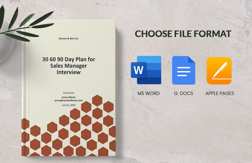  Day Plan for Sales Manager Interview Template