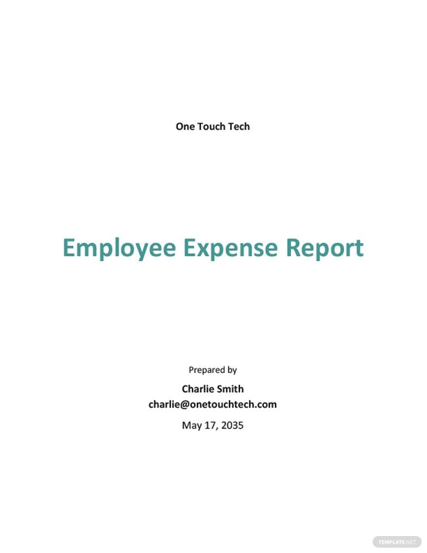 Editable Employee Expense Report Template