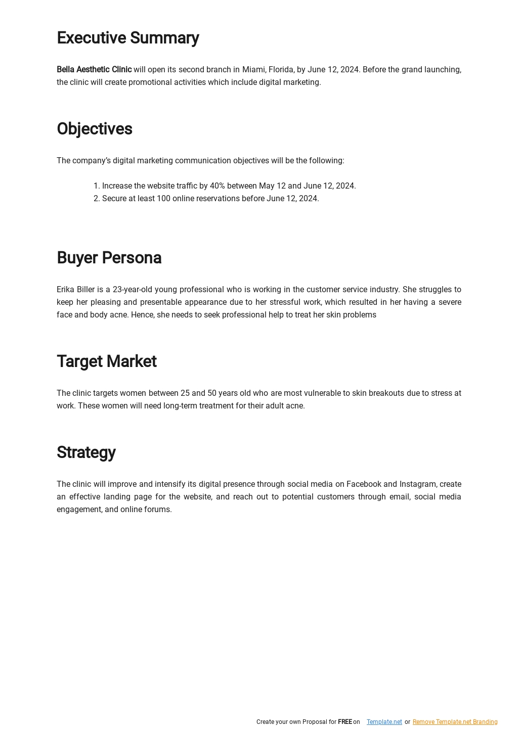 Digital Marketing Communications Plan Template Google Docs, Word