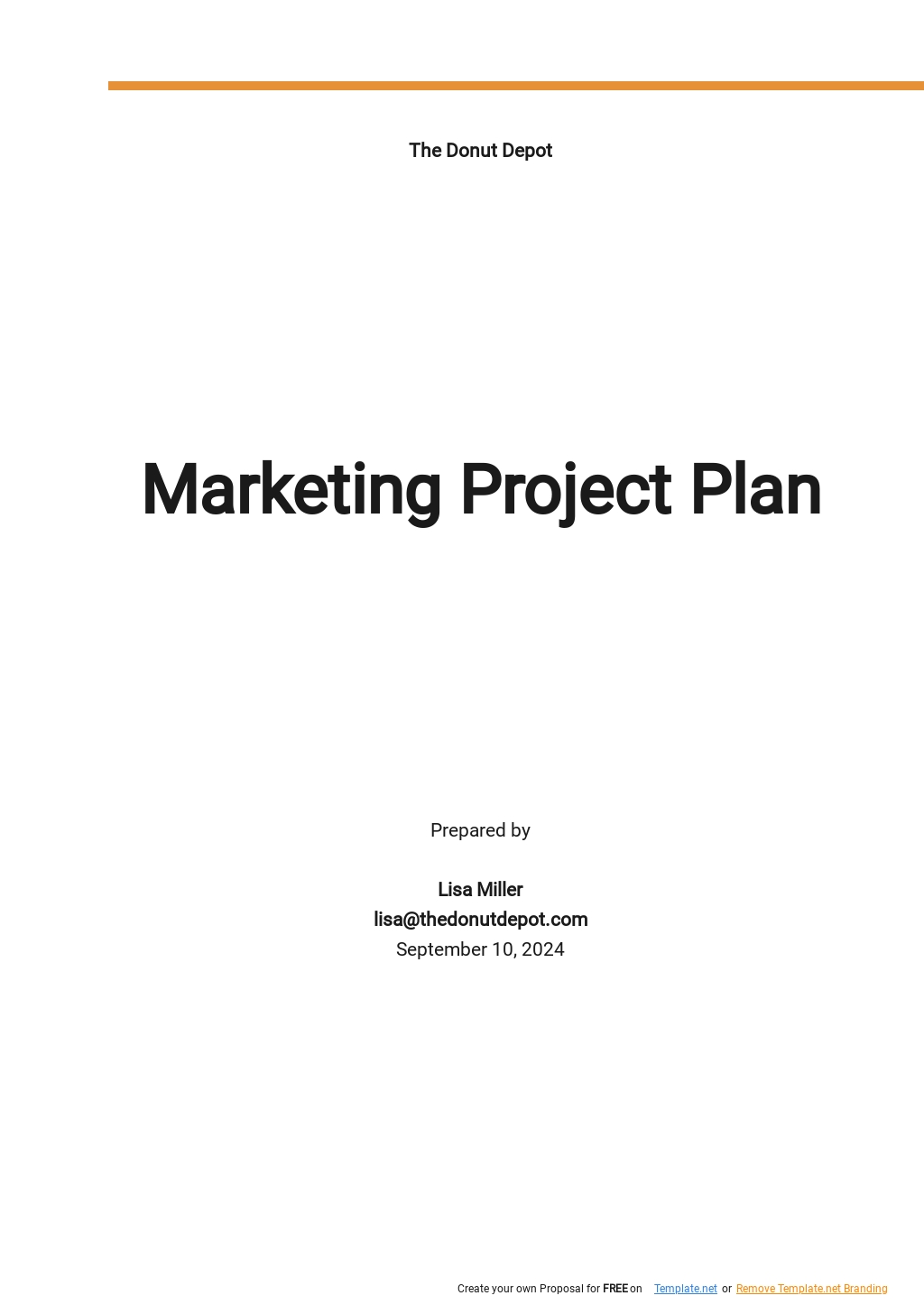 Free Sample Marketing Project Plan Template