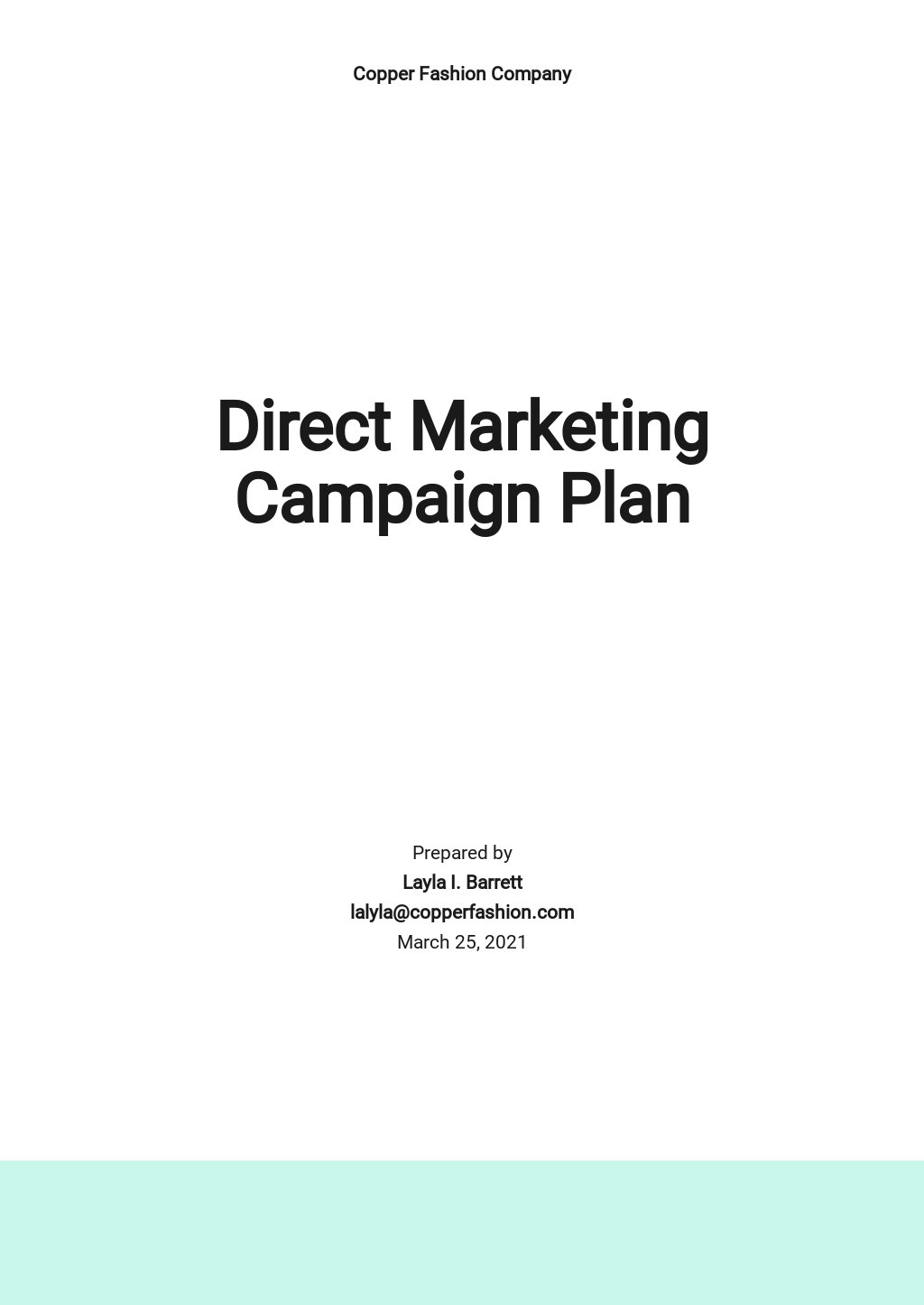 Direct Marketing Campaign Plan Template