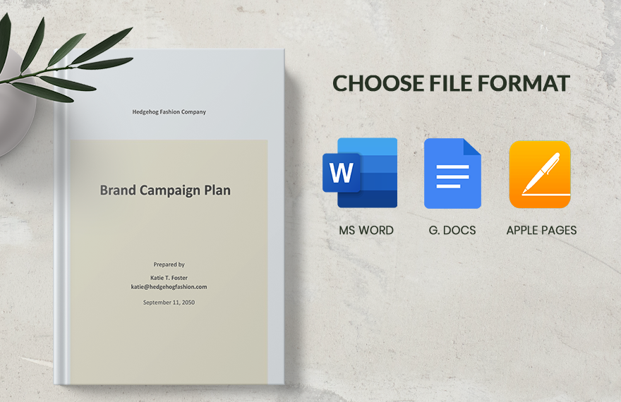 Brand Campaign Plan Template