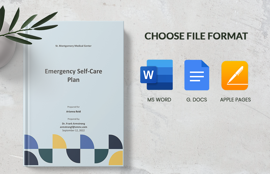 Emergency Self Care Plan Template