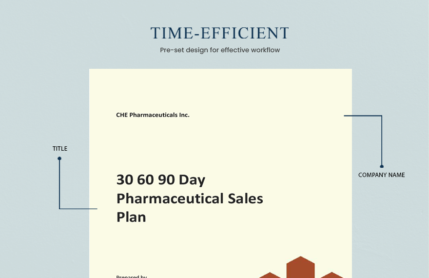 30 60 90 Day Pharmaceutical Sales Plan Template