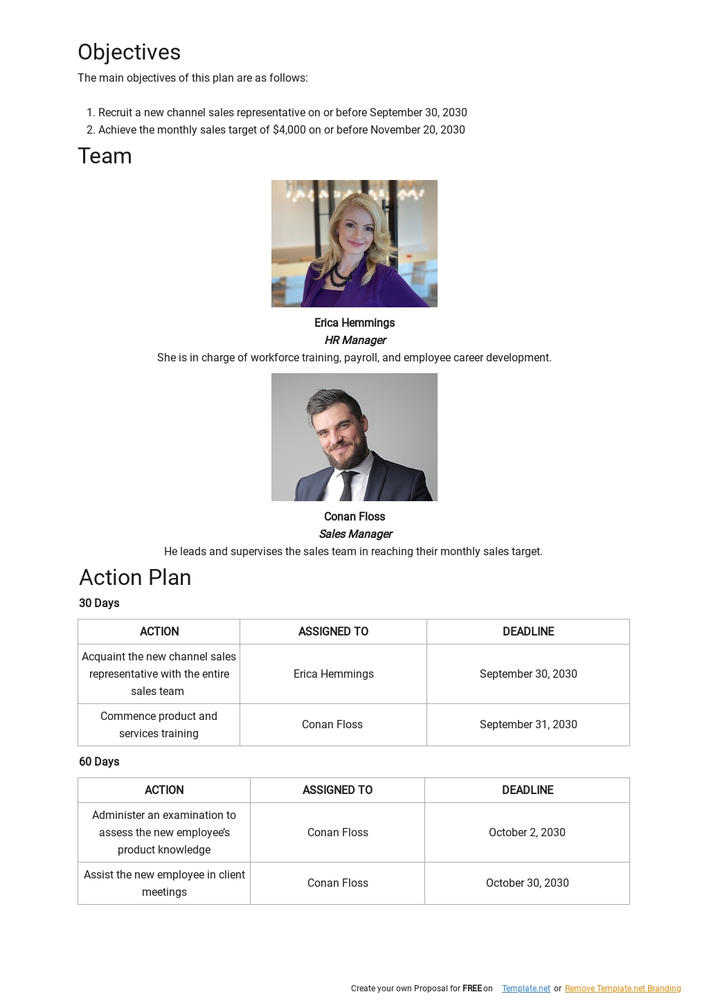 30 60 90 Day Channel Sales Plan Template - PDF