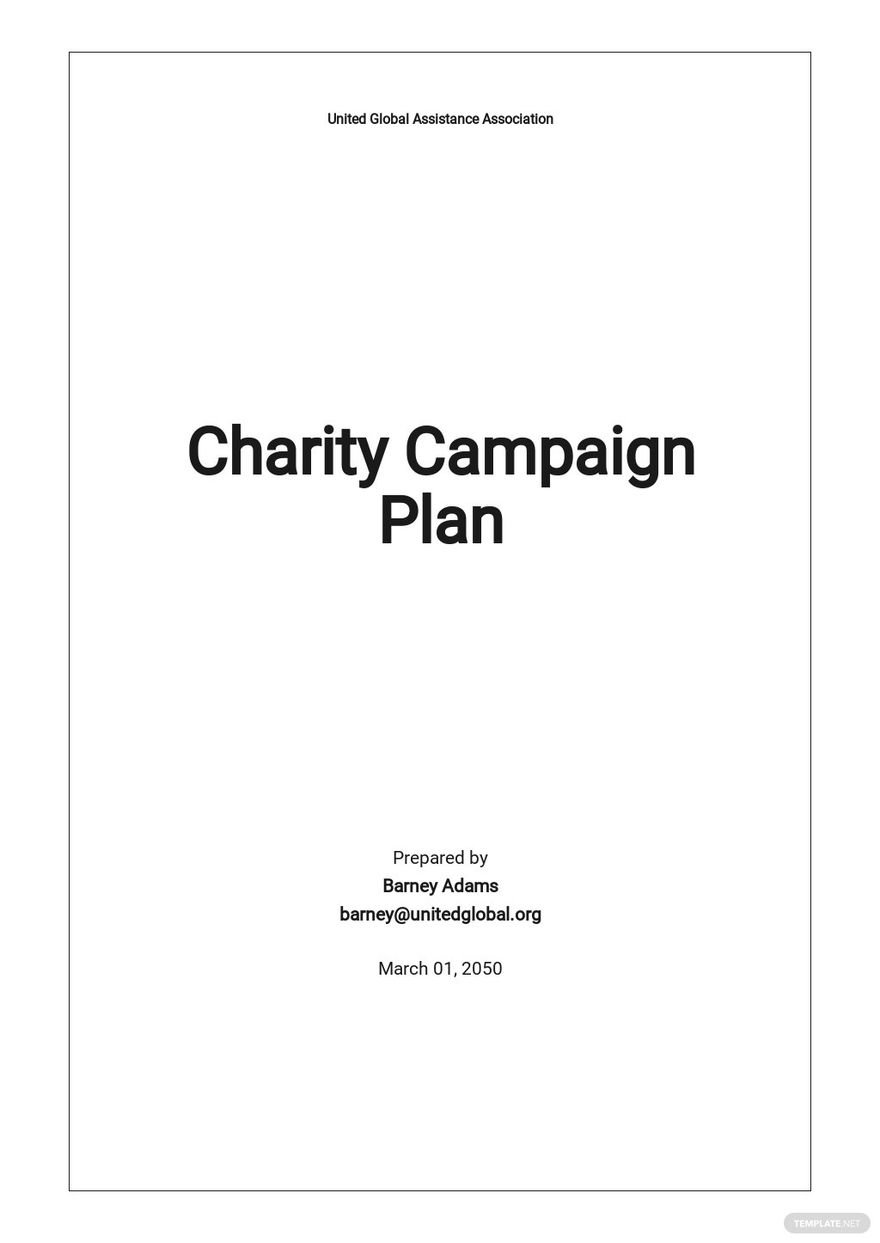 Charity Campaign Plan Template Google Docs, Word, Apple Pages, PDF