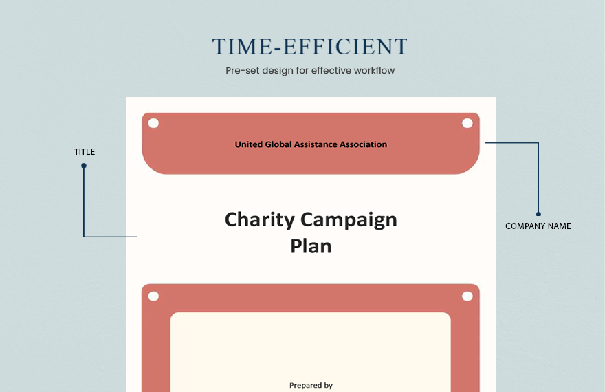 Charity Campaign Plan Template