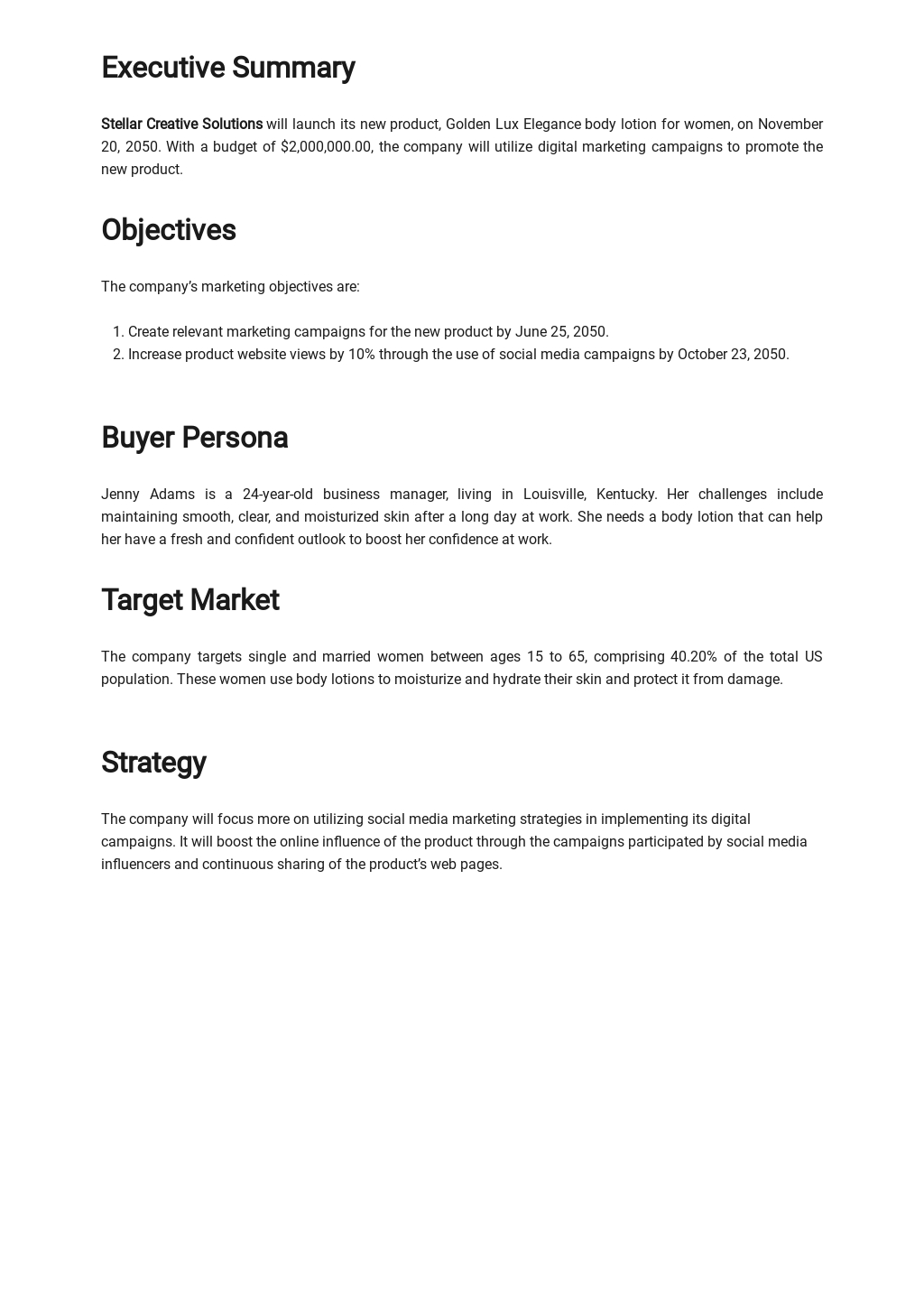 free-sample-digital-marketing-campaign-plan-template-template