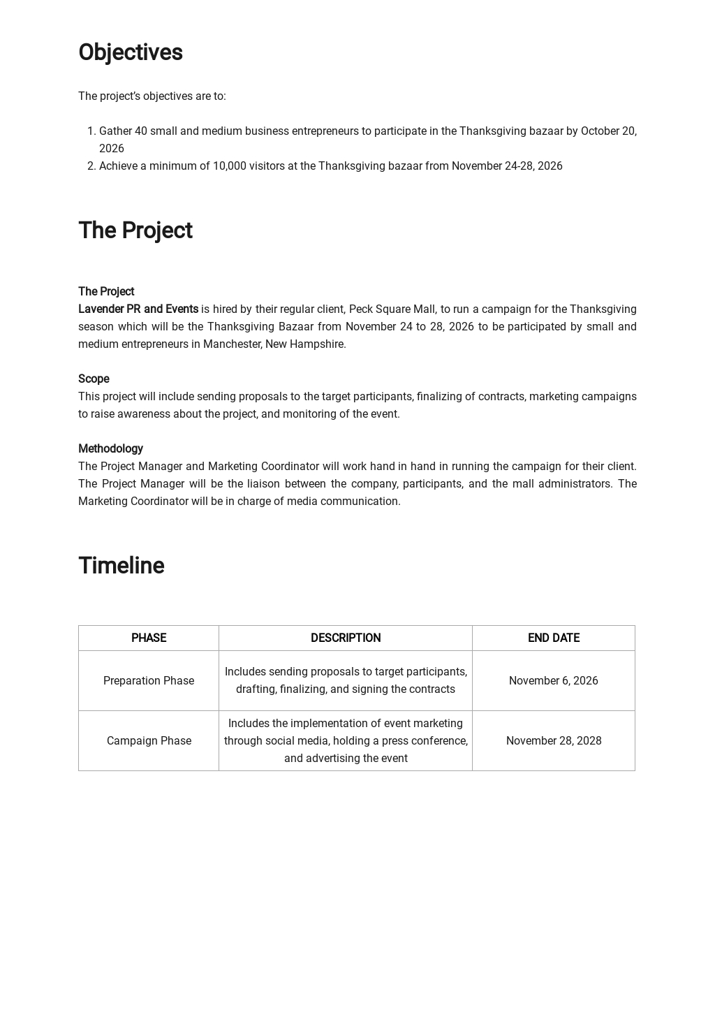 Sample Campaign Project Plan Template Free PDF Template