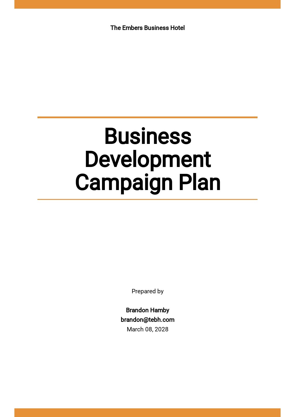 Business Development Campaign Plan Template
