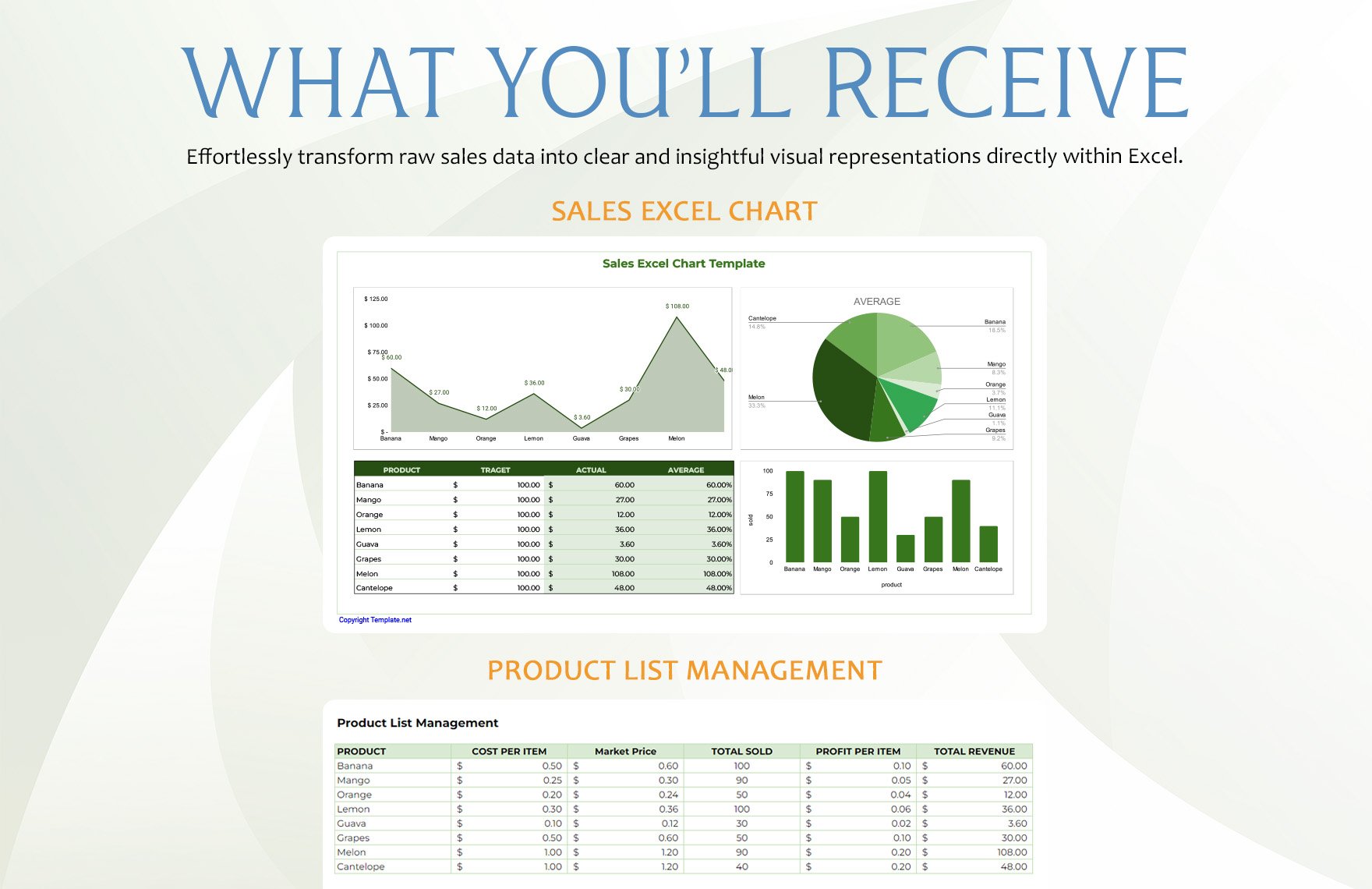 Sales Excel Chart Template