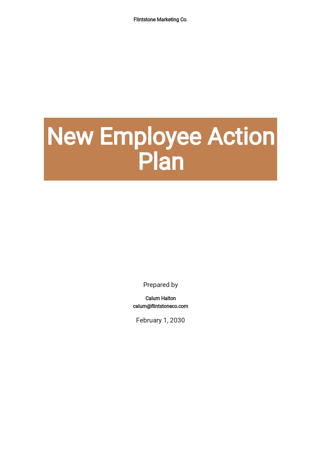 New Employee Action Plan Template