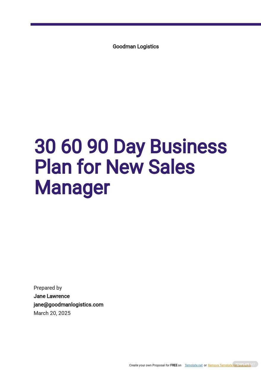 30 60 90 Day Business Plan for New Sales Managers Template