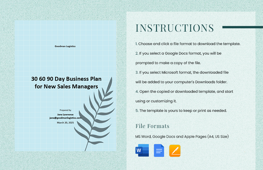  Day Business Plan for New Sales Managers Template