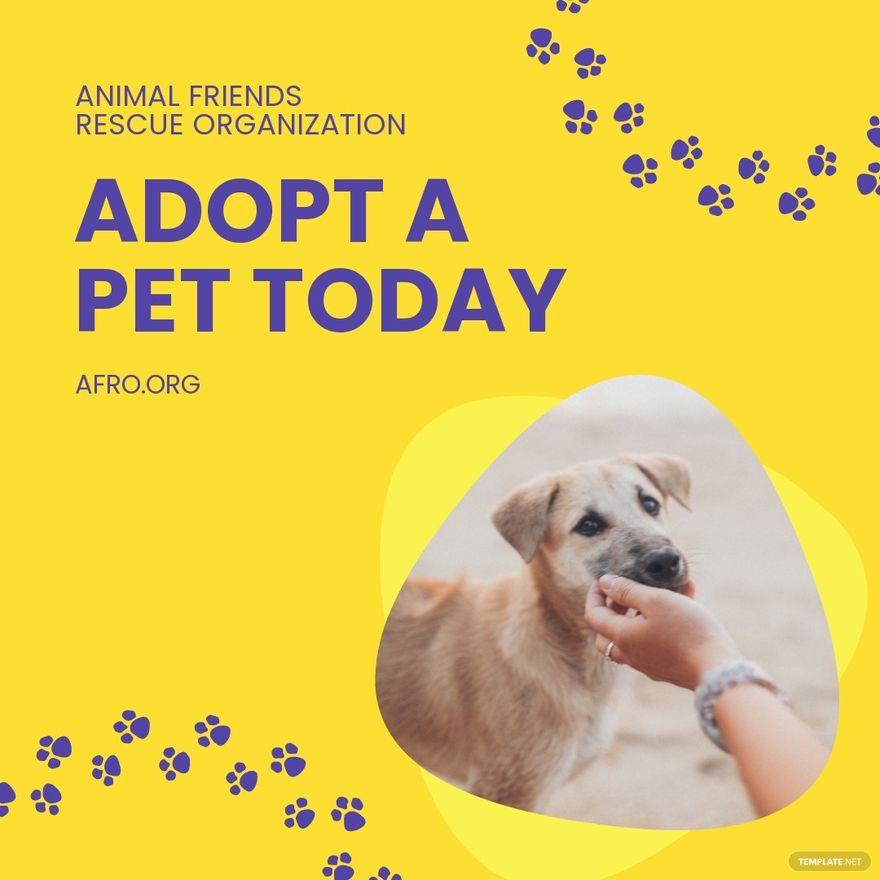 free-adopt-a-pet-instagram-post-template-template