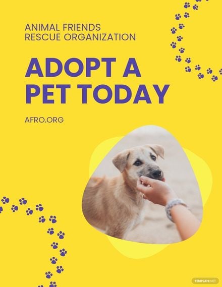 Free Adopt A Pet Flyer Template