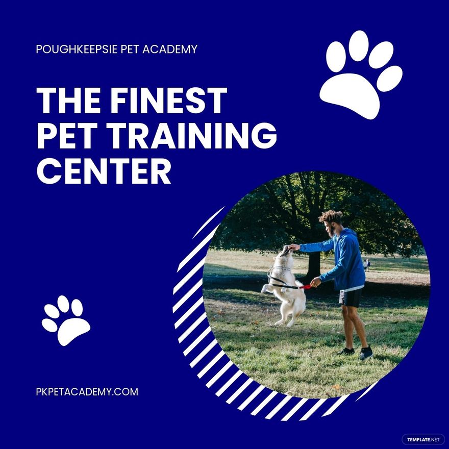 Free Pet Training Instagram Post Template