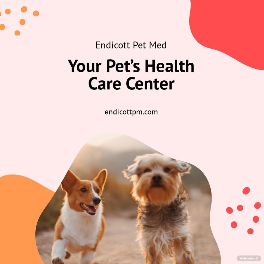 Free Pet Health Care Instagram Post Template 