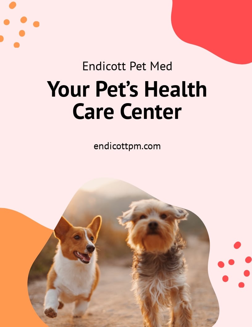 Pet Health Care Flyer Template in Word, Google Docs, PSD, Apple Pages, Publisher