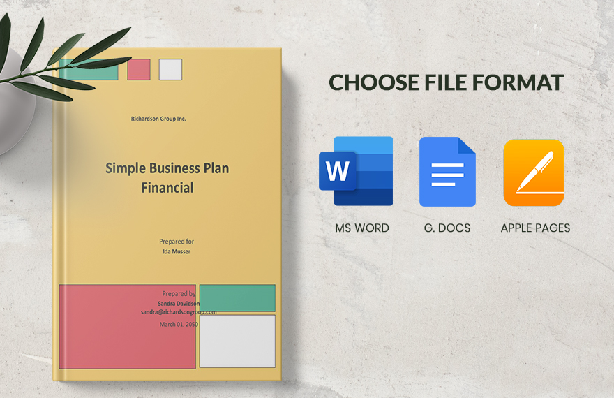 Simple Business Plan Financial Template