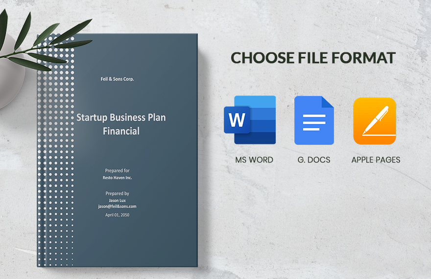 Startup Business Plan Financial Template