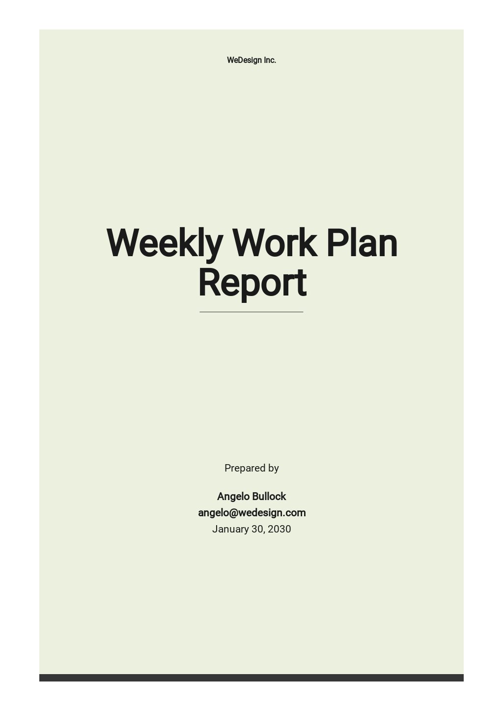 Weekly Work Plan Report Template.jpe