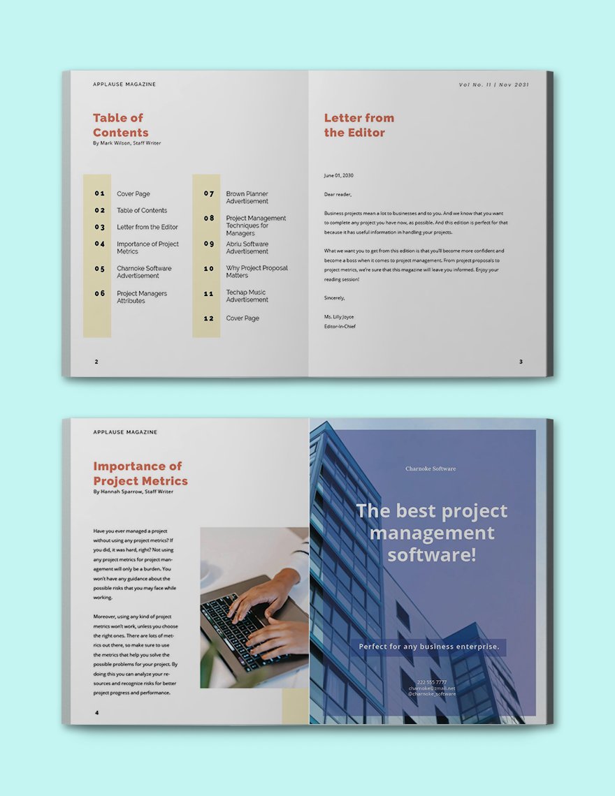Project Business Magazine Template