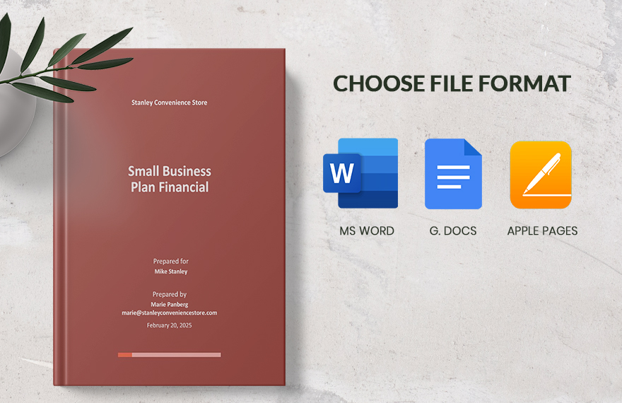 Small Business Plan Financial Template