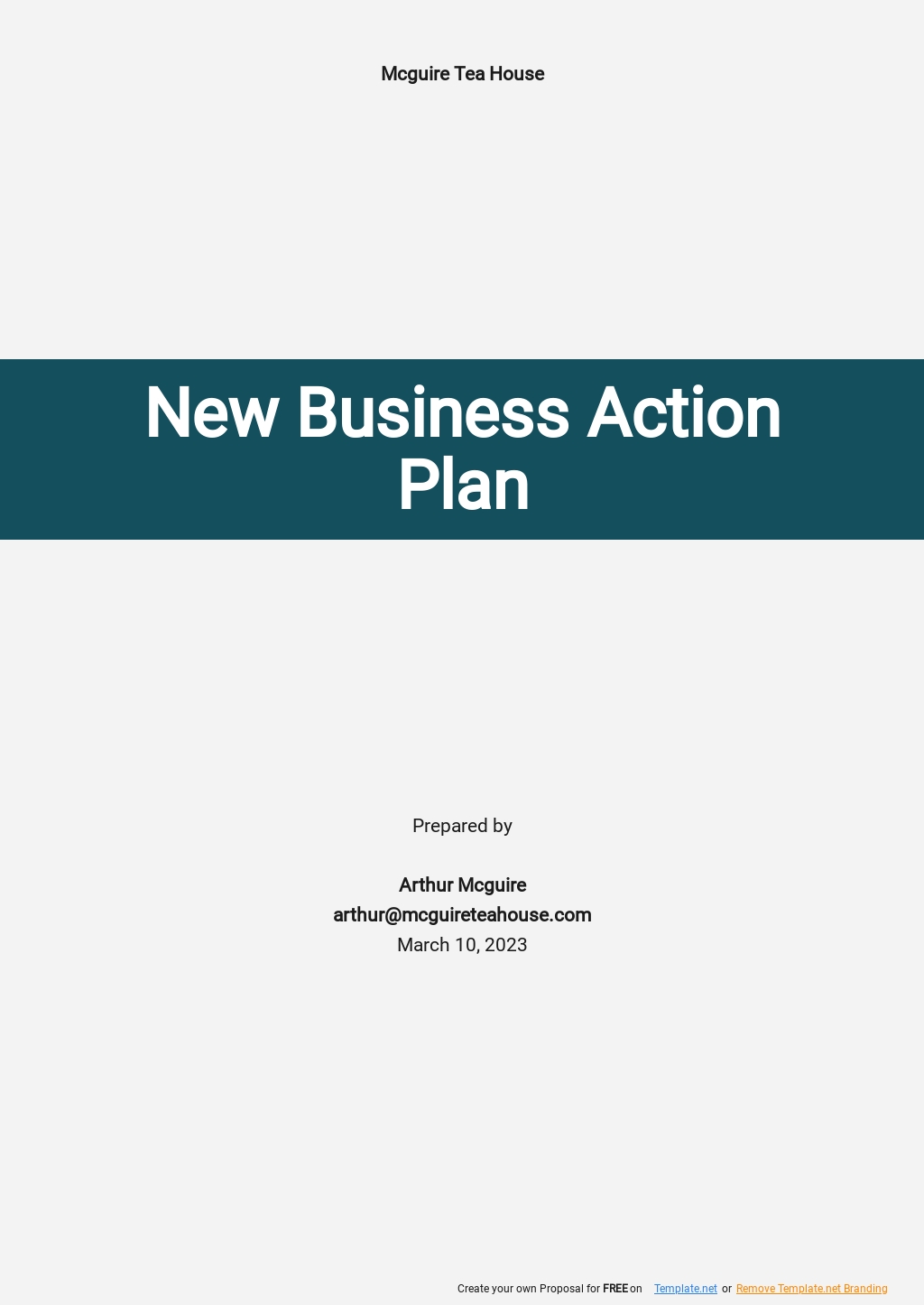 New Business Action Plan Template