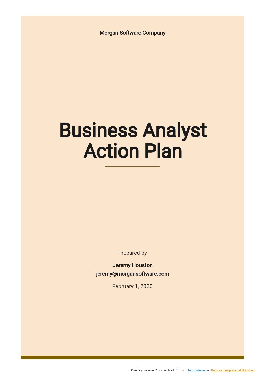 Business Analyst Action Plan Template