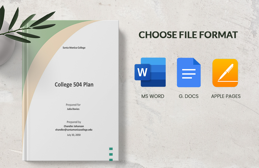 College 504 Plan Template
