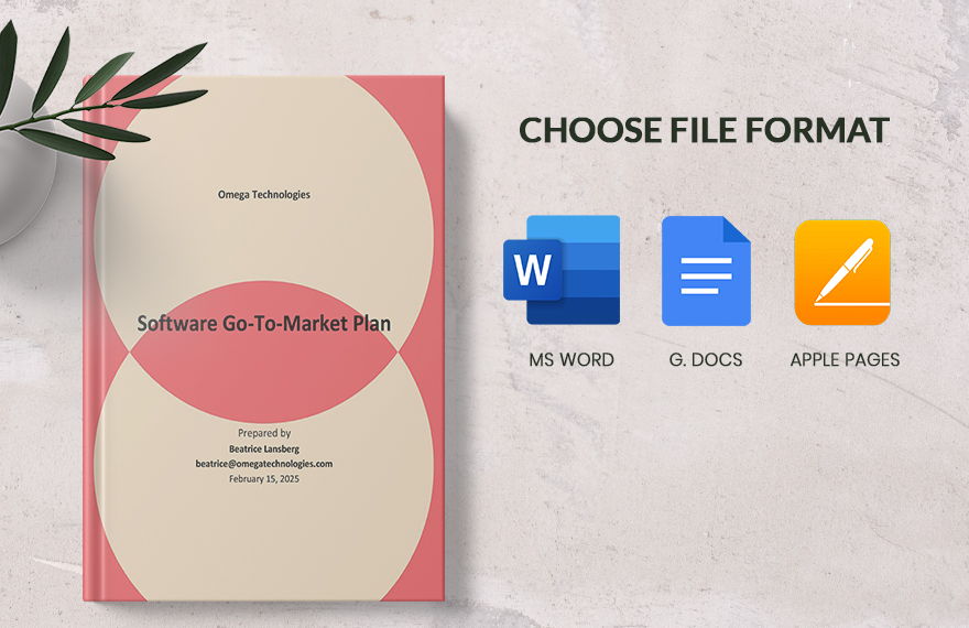 Software Go To Market Plan Template