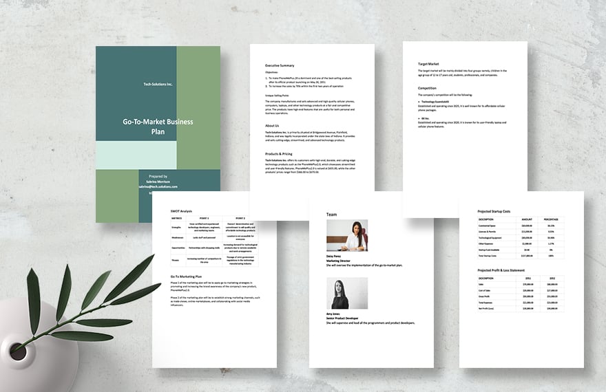 Go To Market Business Plan Template