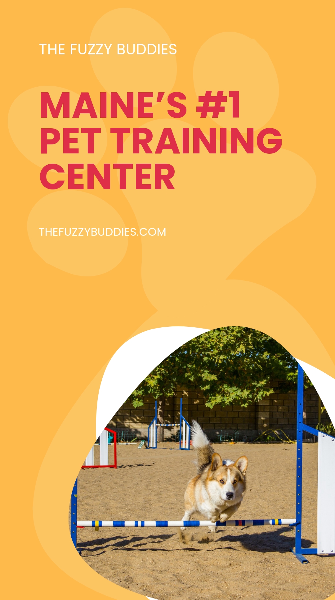 Free Pet Training Ad Instagram Story Template