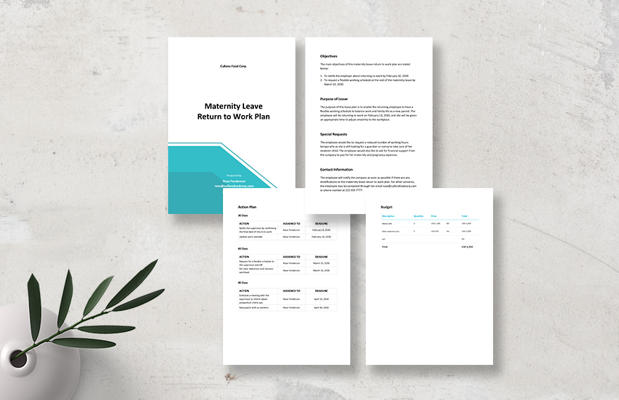 Maternity Leave Return to Work Plan Template