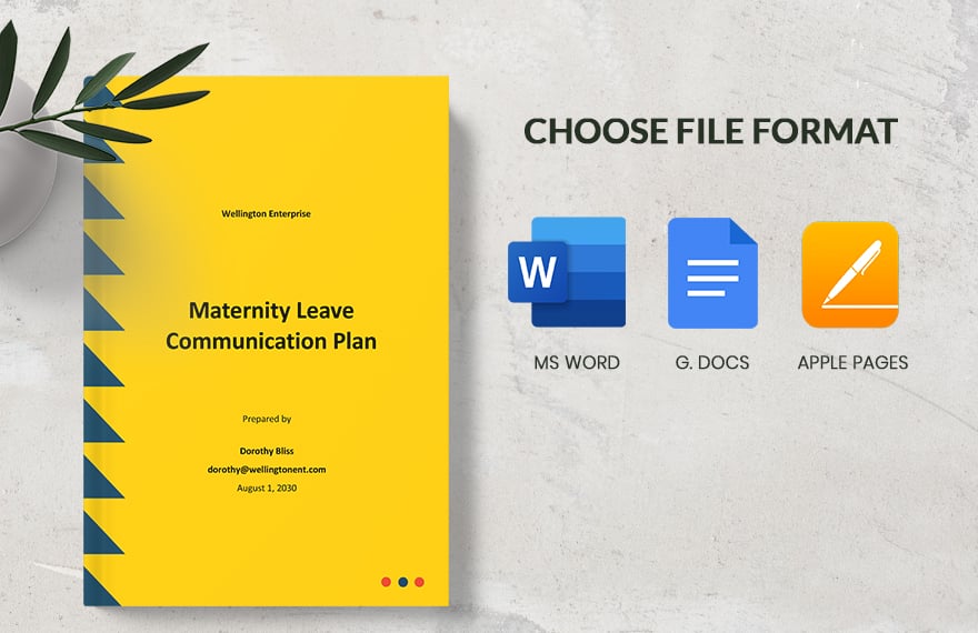 Maternity Leave Communication Plan Template