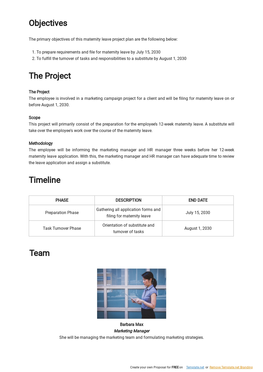 Maternity Leave Project Plan Template [Free PDF]