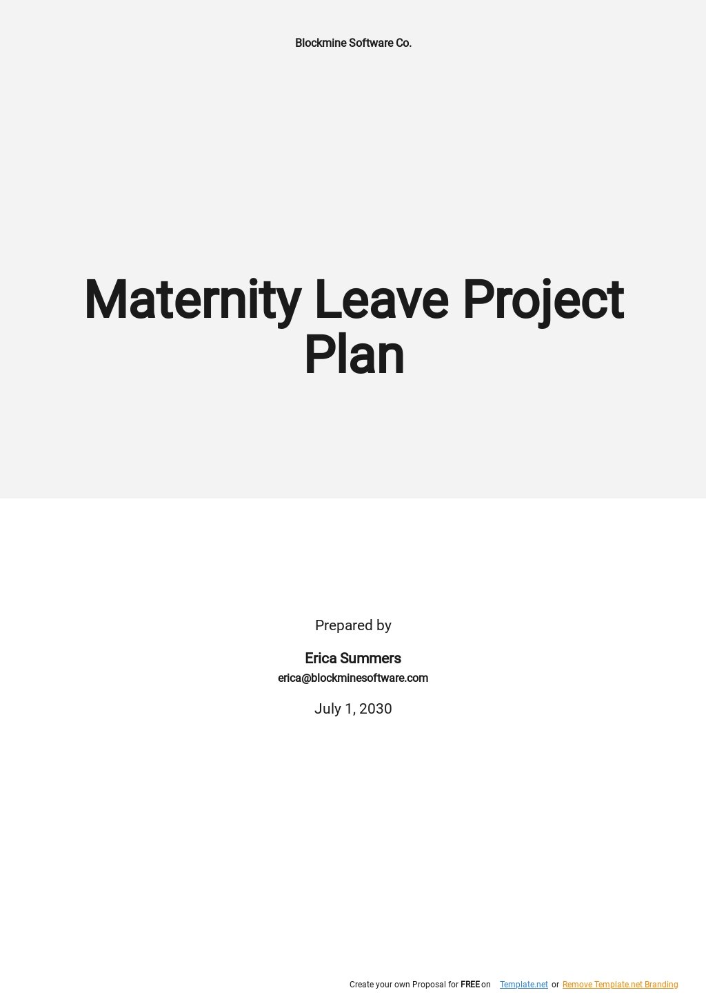 Maternity Leave Project Plan Template
