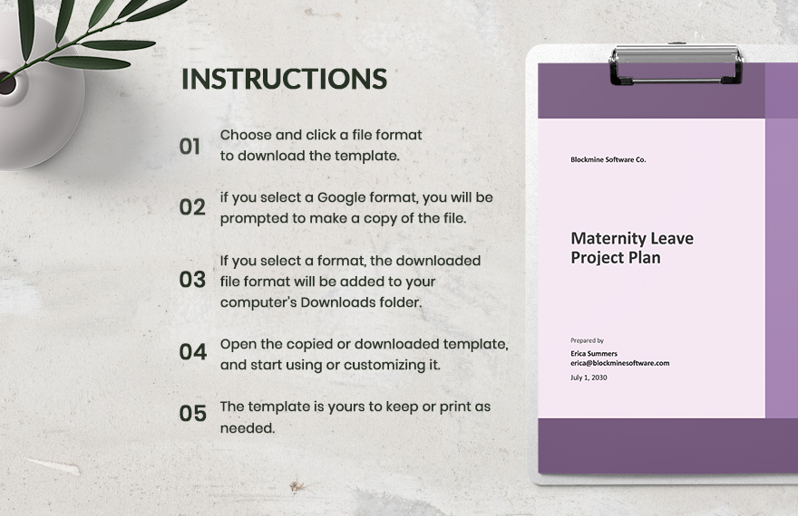 Maternity Leave Project Plan Template