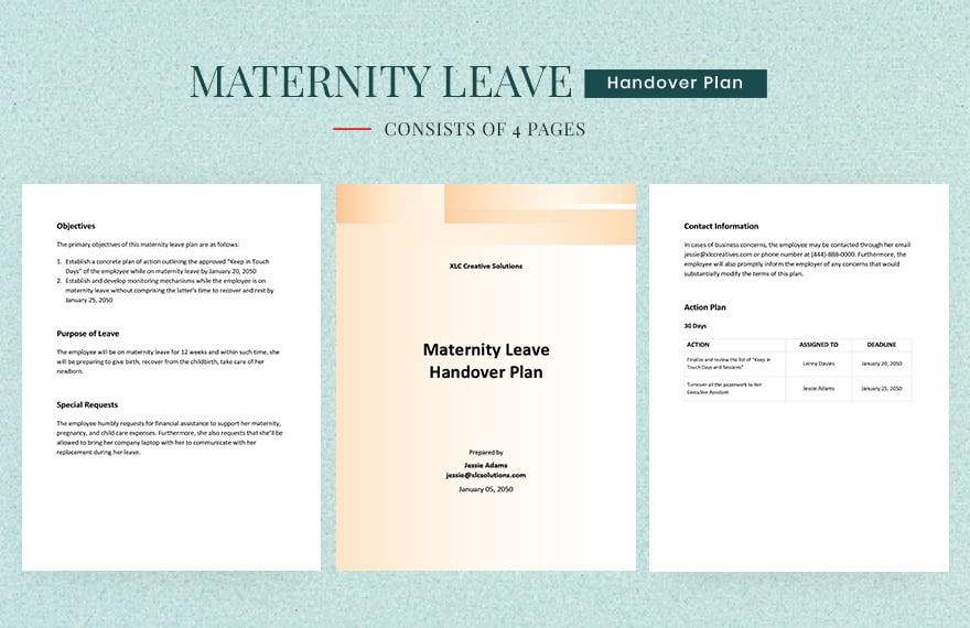 Maternity Leave Handover Plan Template