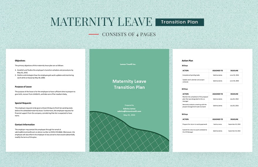 Maternity Leave Transition Plan Template
