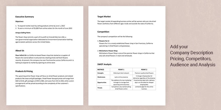 online store business plan template pdf
