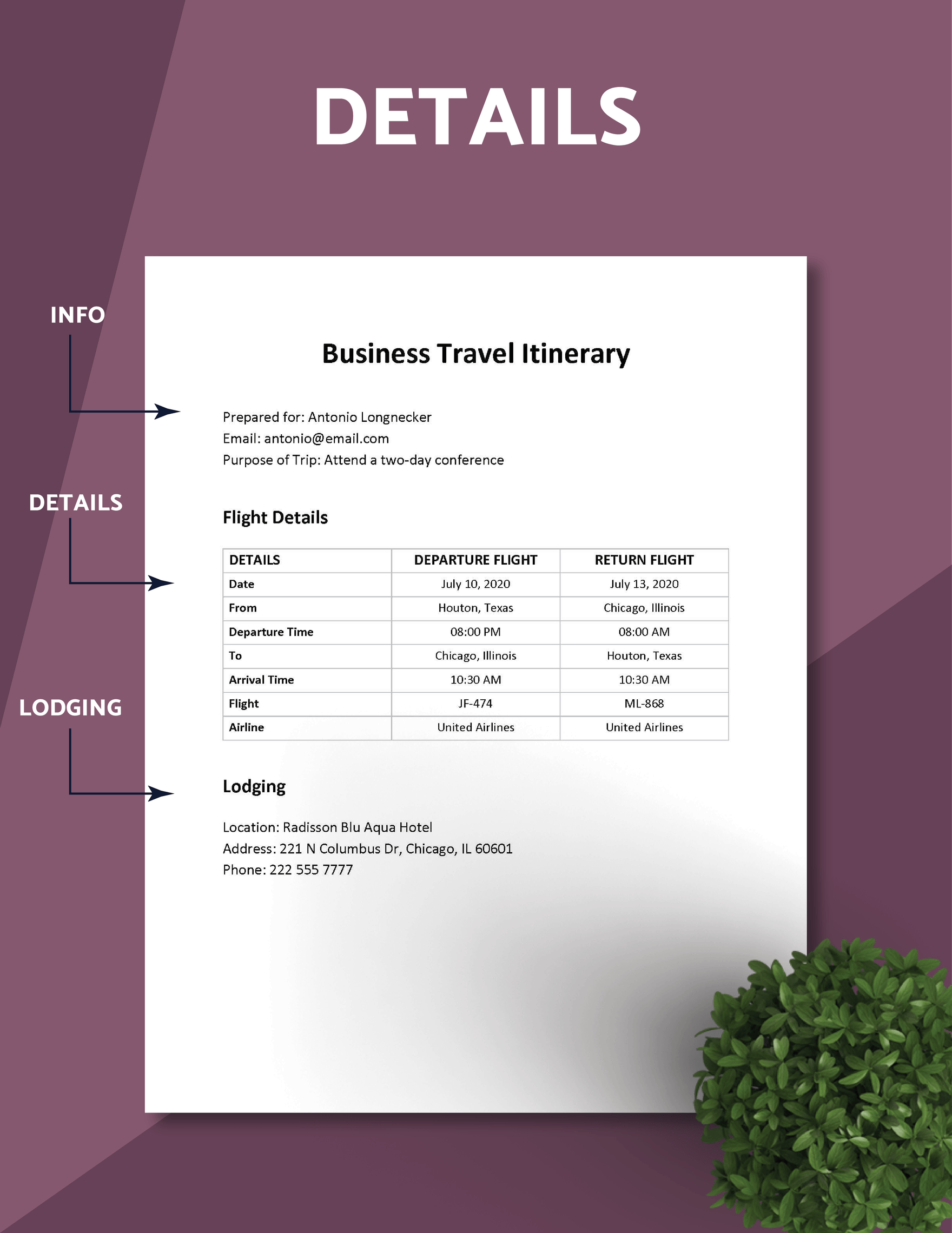 Business Travel Itinerary Format Template